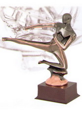 Награда 62153 карате ― НАГРАДЫ ТУТ - магазин наград, кубков, медалей, подарков.