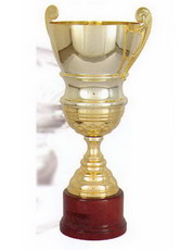 Кубок 2001 E ― НАГРАДЫ ТУТ - магазин наград, кубков, медалей, подарков.