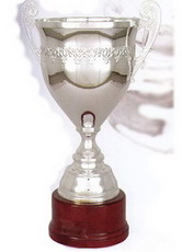 Кубок 2006 E ― НАГРАДЫ ТУТ - магазин наград, кубков, медалей, подарков.