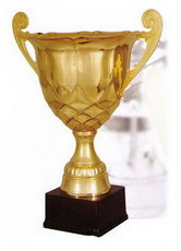 Кубок 2007 C ― НАГРАДЫ ТУТ - магазин наград, кубков, медалей, подарков.