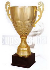 Кубок 2009 E ― НАГРАДЫ ТУТ - магазин наград, кубков, медалей, подарков.